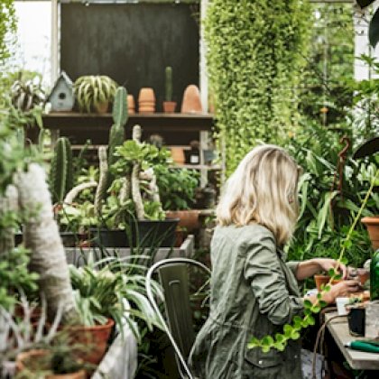Auto, Garden, Construction Market